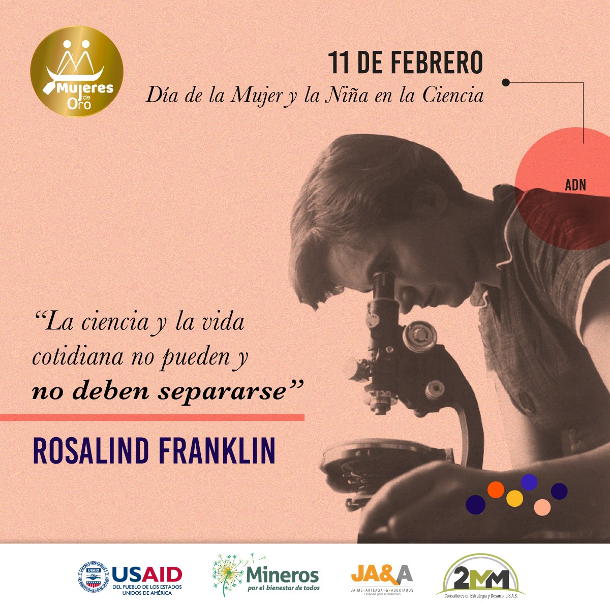 Pieza del Día de la Mujer y la Niña en la Ciencia: Rosalind Franklin mirando por un microscopio, con la frase «La ciencia y la vida cotidiana no pueden y no deben separarse», sobre fondo durazno.