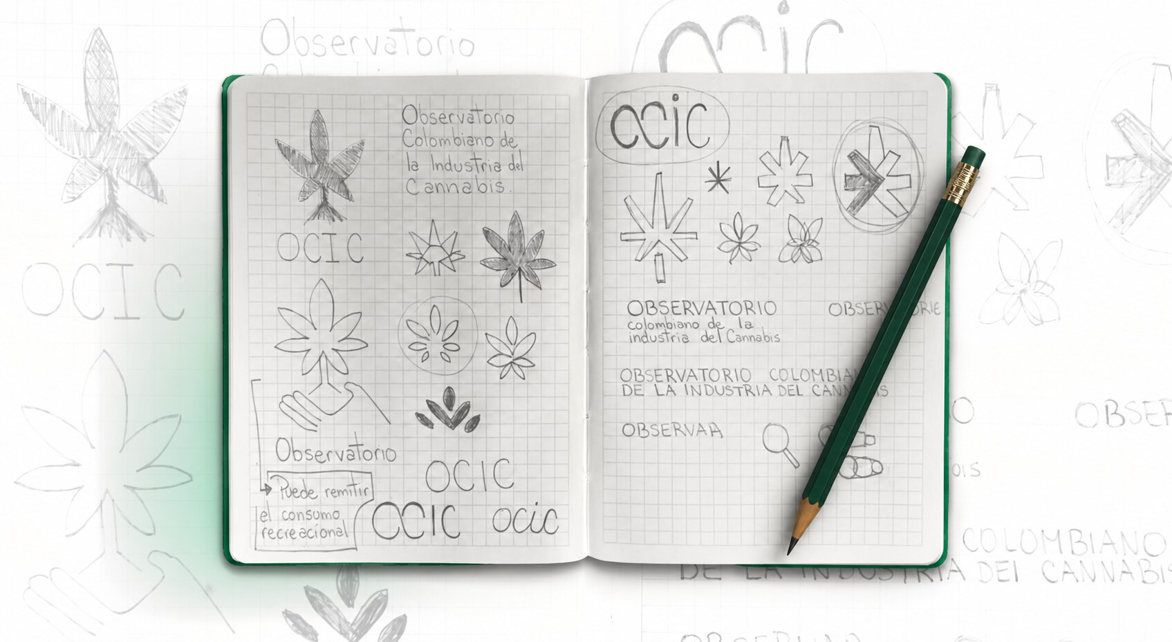 Cuaderno abierto con bocetos a lápiz del logotipo del OCIC: hojas de cannabis, la sigla OCIC, el nombre completo del observatorio y exploraciones de símbolos.