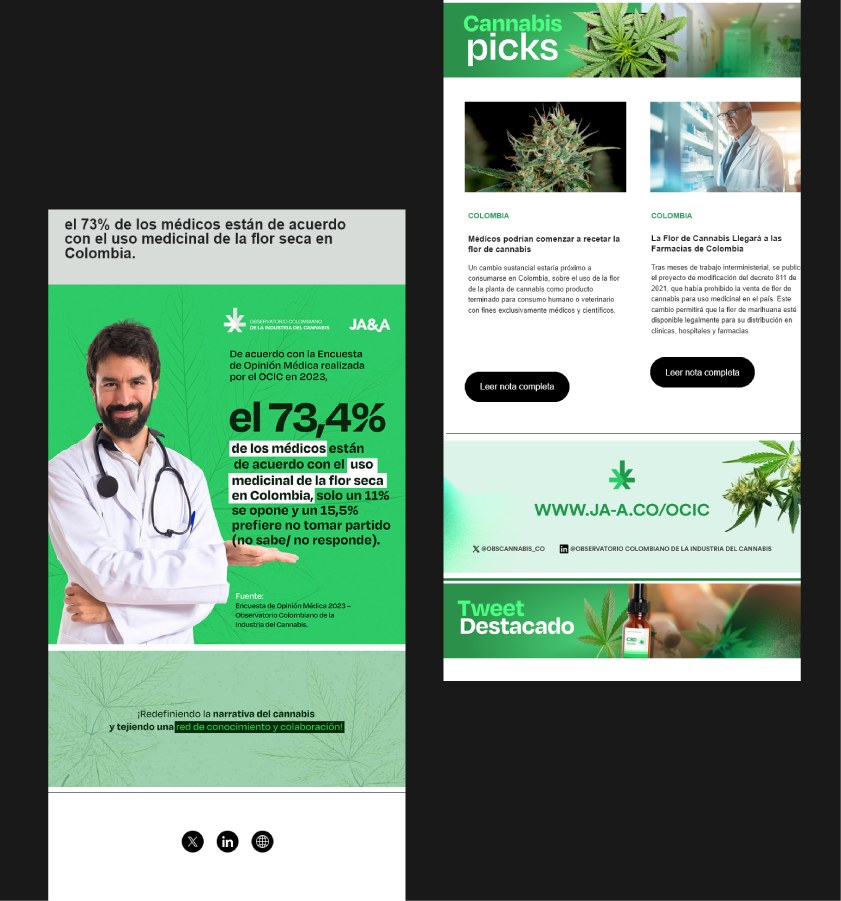 Boletín digital del observatorio: a la izquierda una pieza con un médico y el dato del 73,4 % sobre el uso medicinal de la flor seca; a la derecha la sección «Cannabis picks» y el «Tweet destacado».
