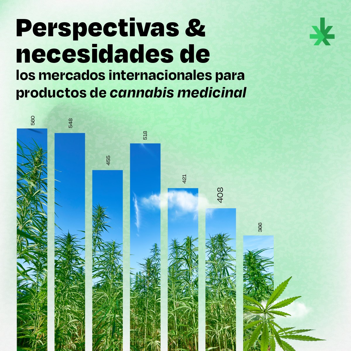Pieza «Perspectivas & necesidades de los mercados internacionales para productos de cannabis medicinal», con barras de datos formadas por un cultivo de cannabis bajo cielo azul.
