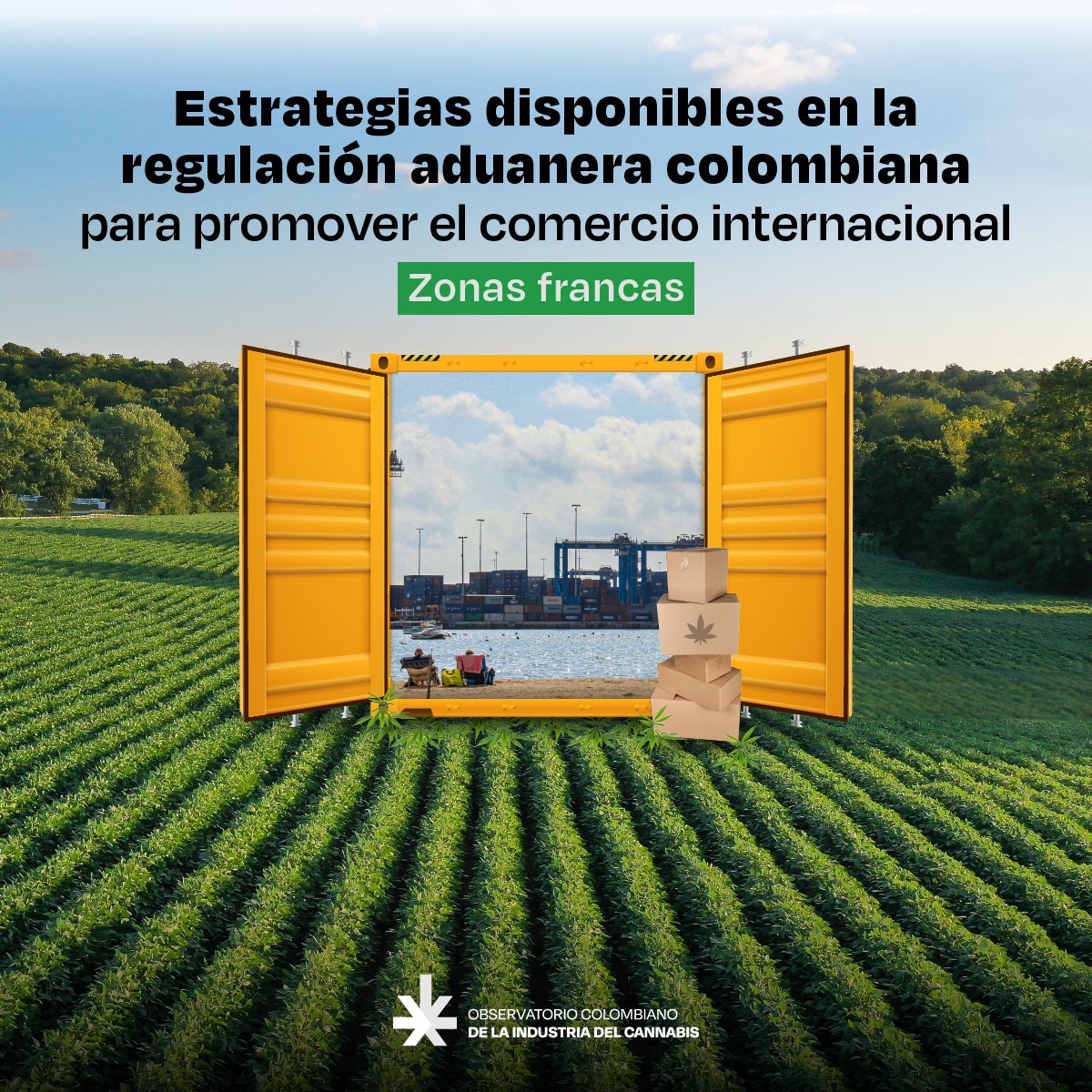 Pieza «Estrategias disponibles en la regulación aduanera colombiana para promover el comercio internacional: zonas francas», con un contenedor amarillo abierto en un campo.