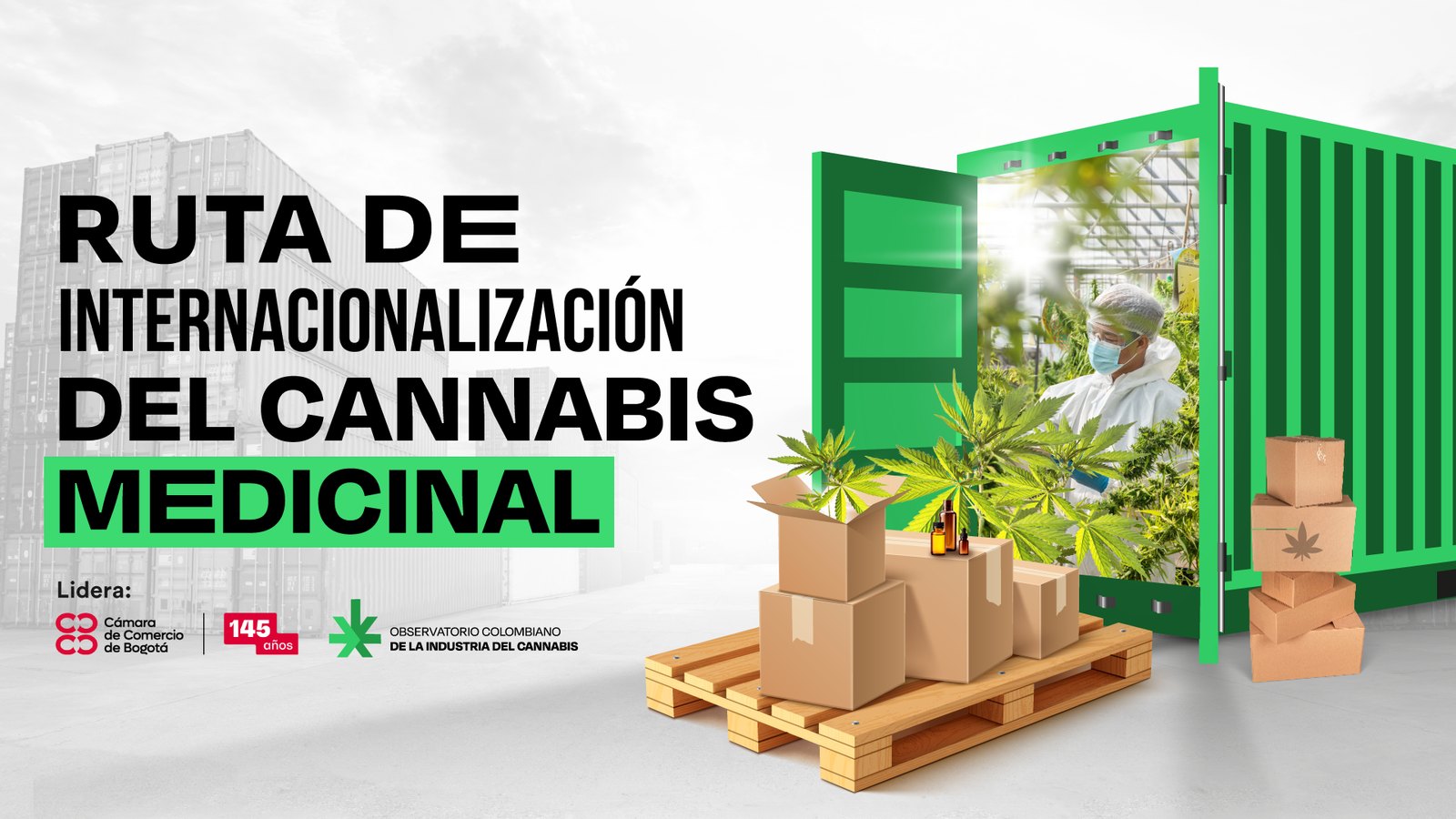 Portada «Ruta de internacionalización del cannabis medicinal»: un contenedor verde abierto con una persona en un cultivo bajo invernadero, cajas sobre un pallet y logos de la Cámara de Comercio de Bogotá y del observatorio.