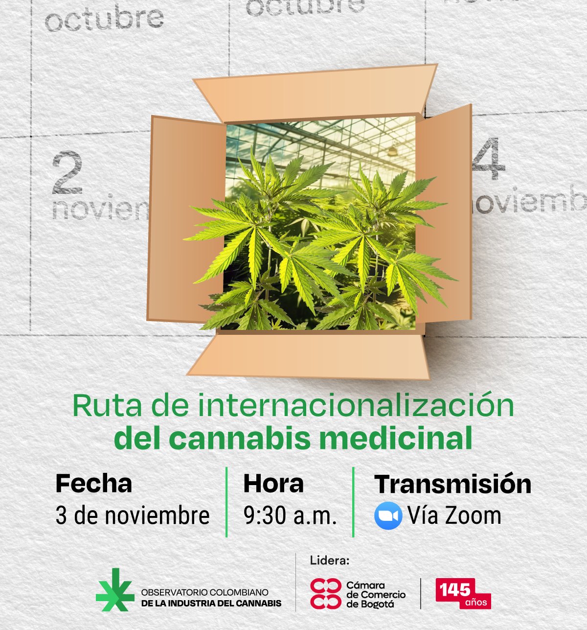 Invitación «Ruta de internacionalización del cannabis medicinal»: una caja de cartón abierta con plantas de cannabis sobre un calendario, el 3 de noviembre a las 9:30 a. m. vía Zoom.