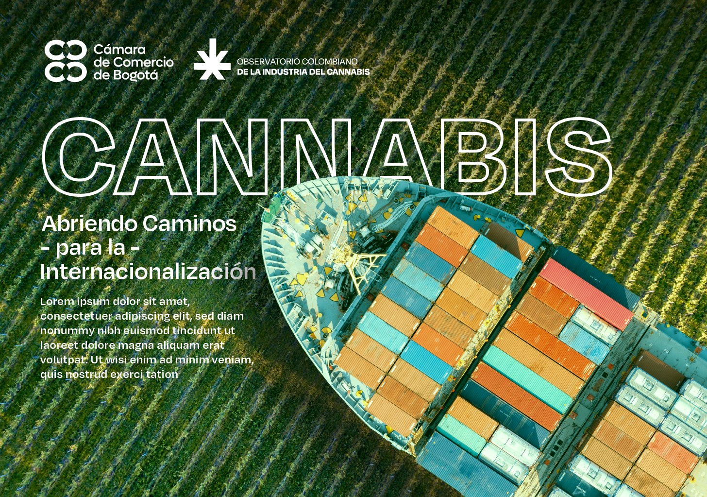 Portada «Cannabis: Abriendo caminos para la internacionalización», con una vista aérea de un barco de contenedores sobre un campo verde y los logos de la Cámara de Comercio de Bogotá y del observatorio.
